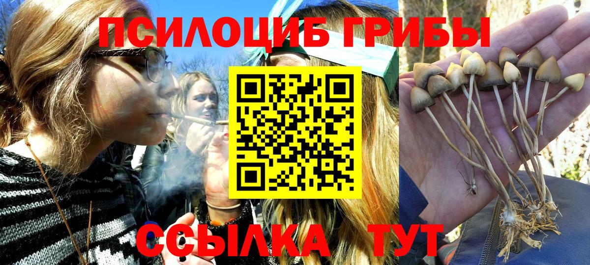 Псилоцибиновые грибы прущие грибы  Вход с VPN  Ярцево 